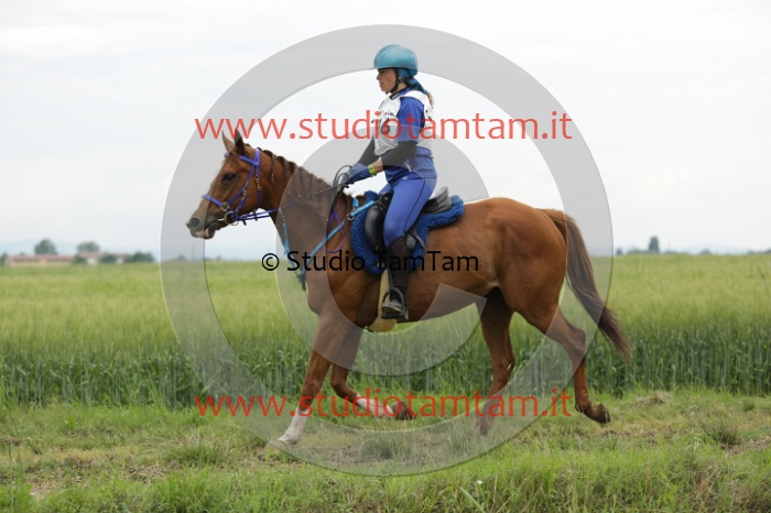 MAT_6499.JPG
