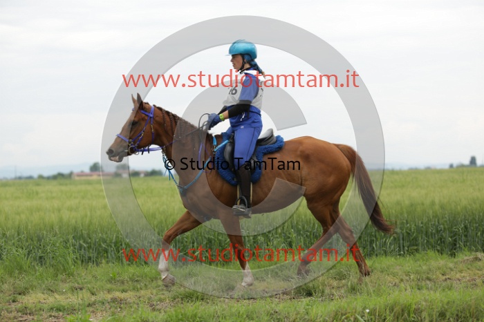 MAT_6500.JPG