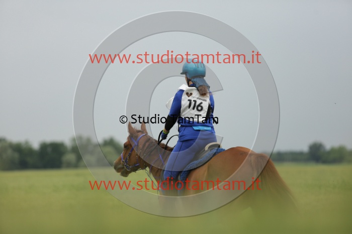 MAT_6501.JPG