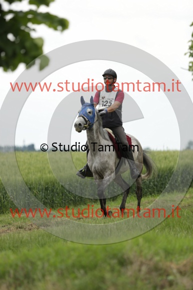 MAT_6502.JPG