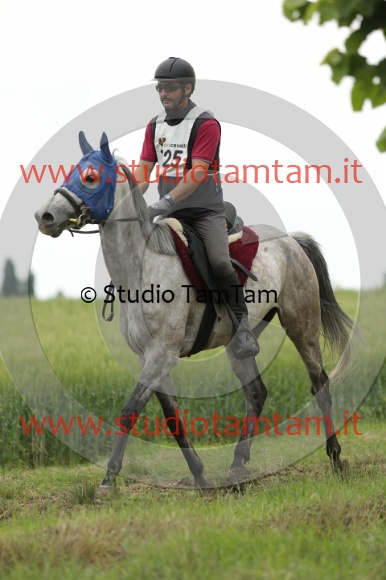 MAT_6505.JPG