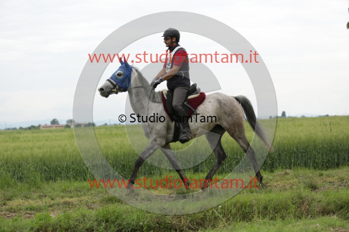 MAT_6506.JPG