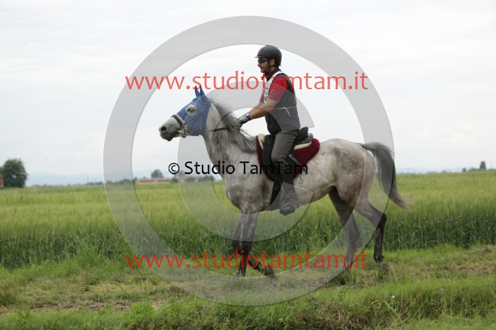 MAT_6507.JPG