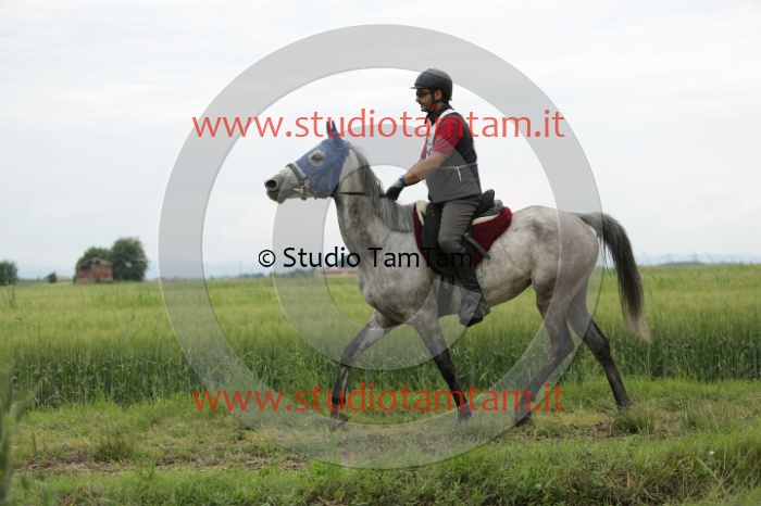 MAT_6508.JPG
