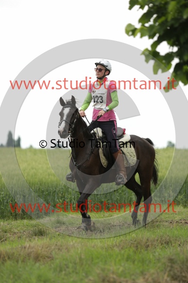 MAT_6509.JPG