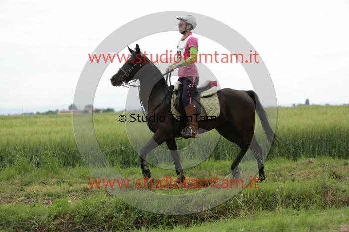 MAT_6514.JPG