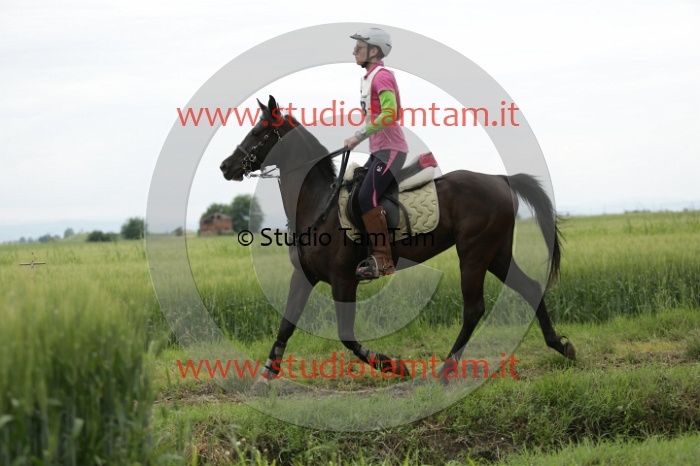 MAT_6517.JPG