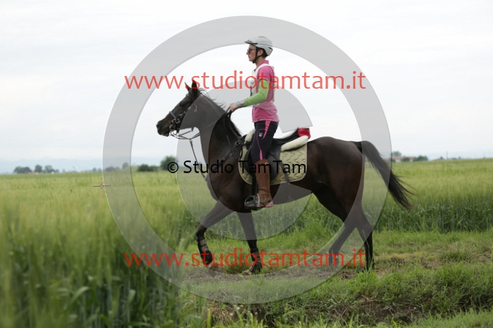 MAT_6518.JPG