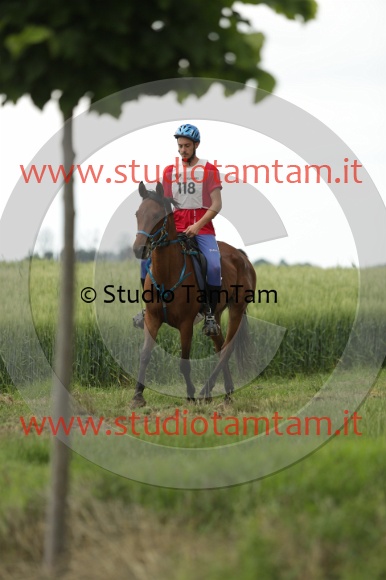 MAT_6526.JPG