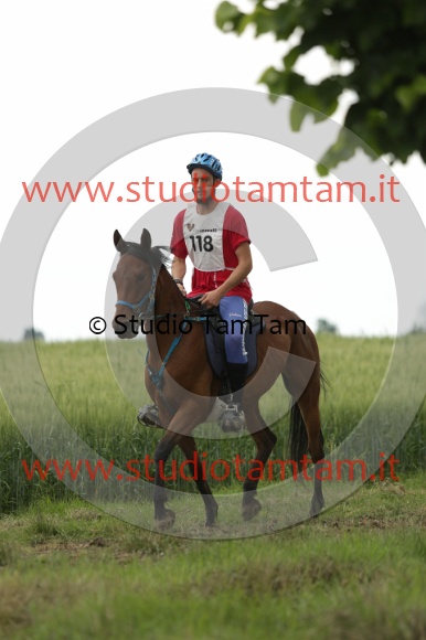 MAT_6528.JPG