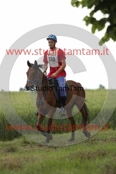 MAT_6529.JPG