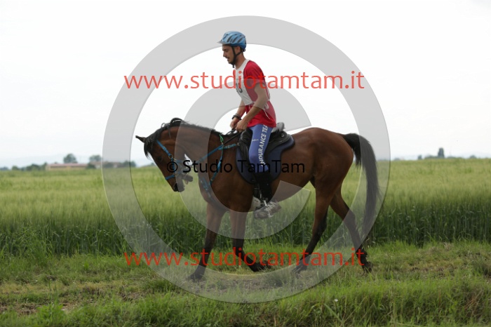 MAT_6530.JPG