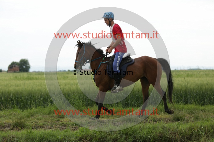 MAT_6532.JPG