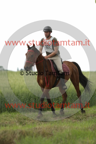 MAT_6534.JPG