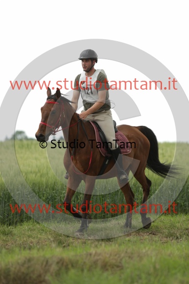 MAT_6535.JPG