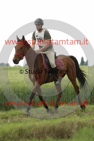 MAT_6536.JPG