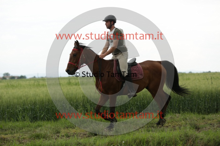 MAT_6538.JPG