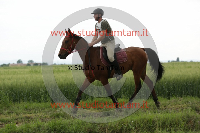 MAT_6539.JPG