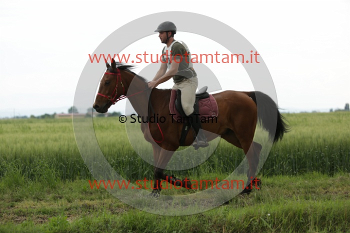 MAT_6540.JPG