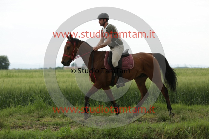 MAT_6541.JPG