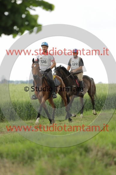 MAT_6550.JPG