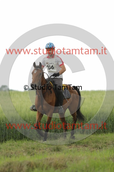 MAT_6552.JPG