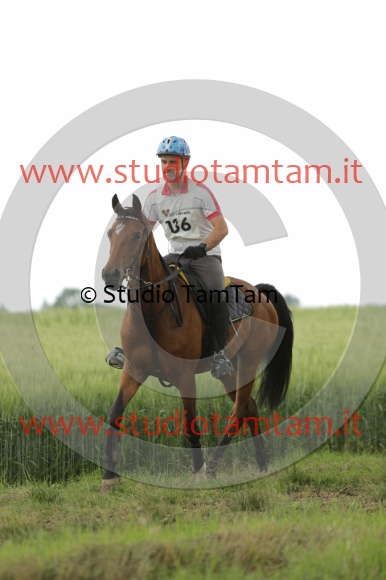 MAT_6553.JPG