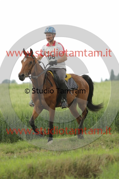 MAT_6555.JPG