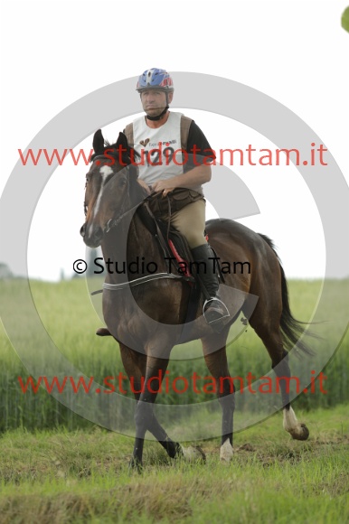 MAT_6558.JPG