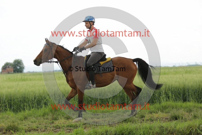 MAT_6562.JPG
