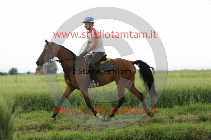 MAT_6563.JPG