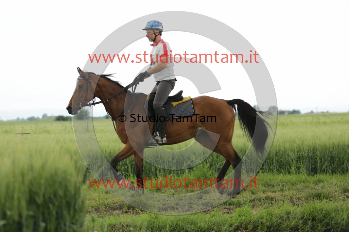 MAT_6564.JPG