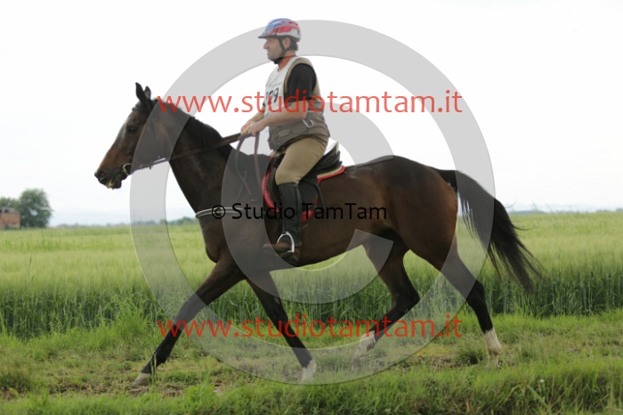 MAT_6566.JPG