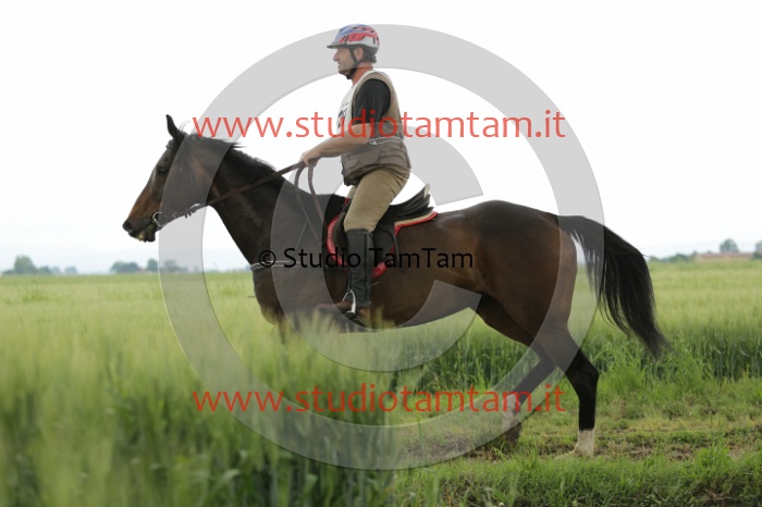 MAT_6569.JPG