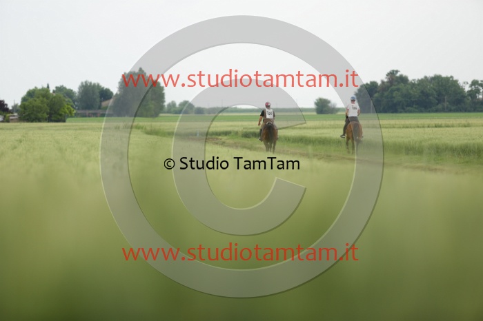 MAT_6570.JPG
