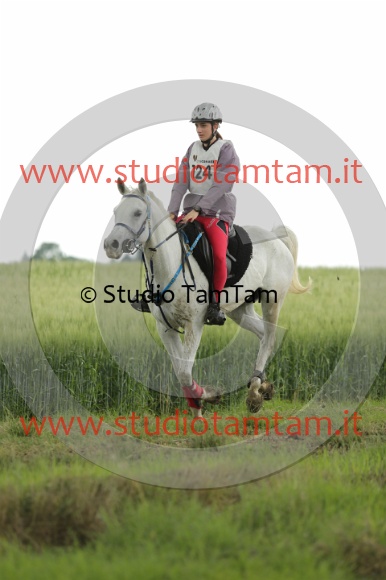 MAT_6582.JPG