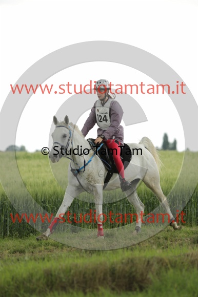 MAT_6584.JPG