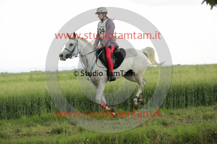 MAT_6586.JPG