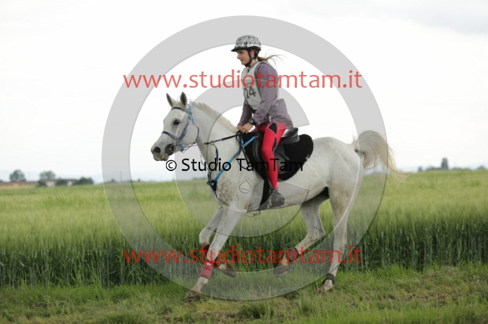 MAT_6587.JPG