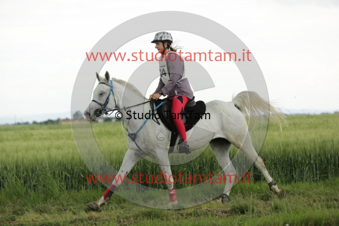MAT_6588.JPG