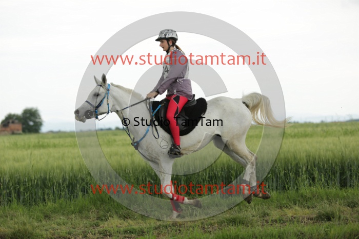MAT_6589.JPG