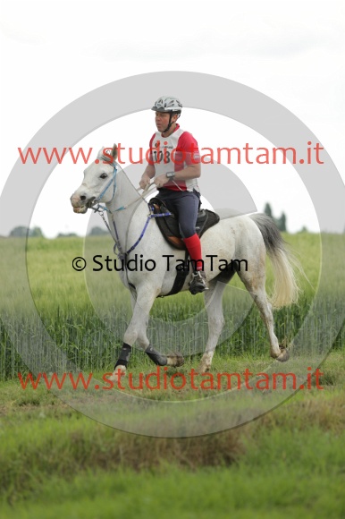 MAT_6609.JPG