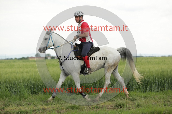 MAT_6614.JPG