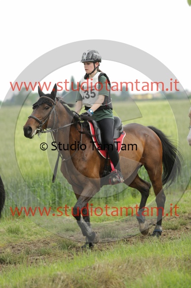 MAT_6639.JPG