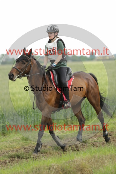 MAT_6640.JPG