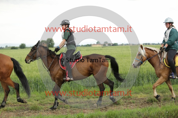 MAT_6651.JPG