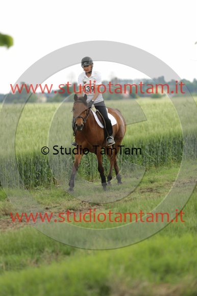 MAT_6682.JPG