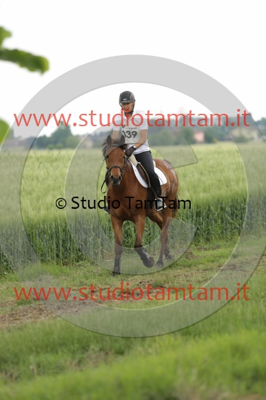 MAT_6683.JPG