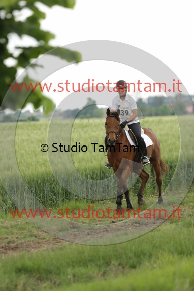 MAT_6684.JPG
