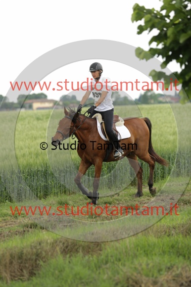 MAT_6688.JPG